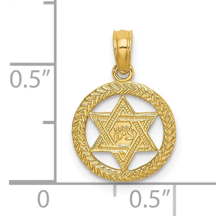 14K Yellow Gold Polish Texture Finish Star Of David In Circle Pendant